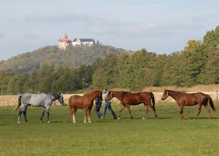 Top Bad Rodach Therme Hotel Erlebnis